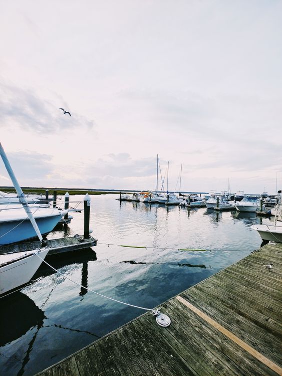 Både fortøjet ved marina i roligt vand, hvor de fleste synkeulykker sker
